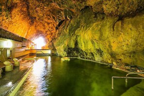 Natural pool
