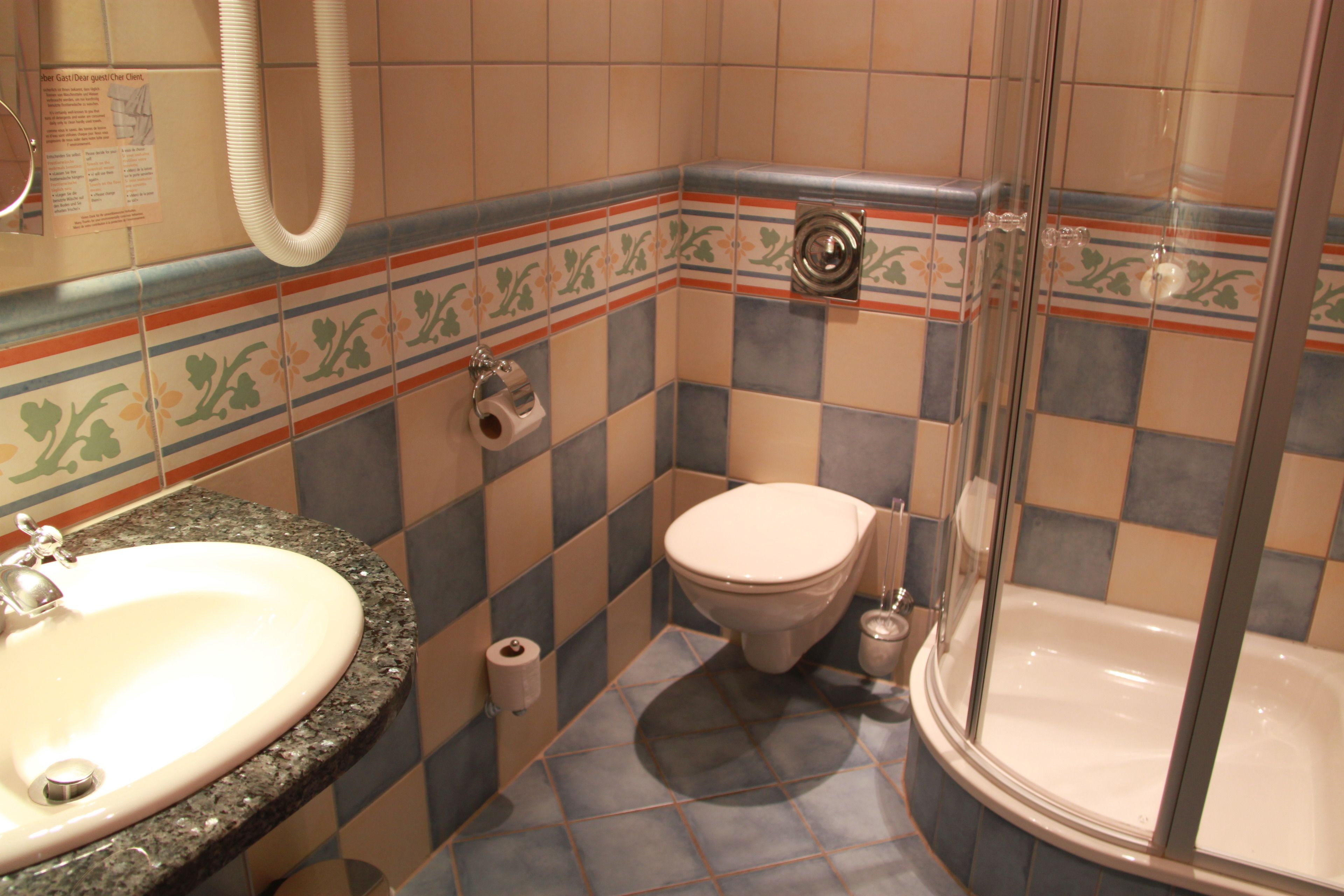 superior double room | bathroom | shower, free toiletries, hair dryer, towels