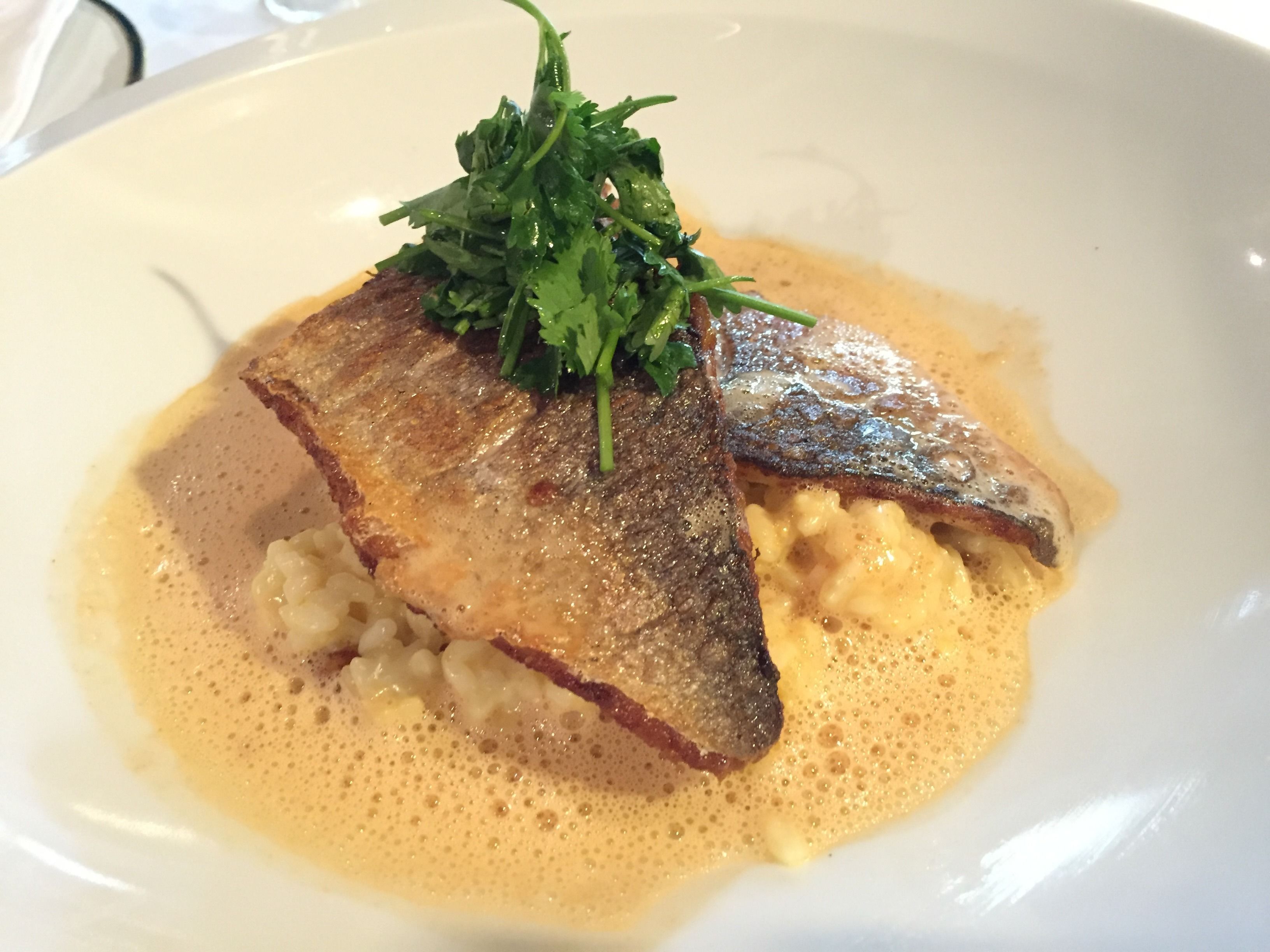 lunch and dinner served, french cuisine