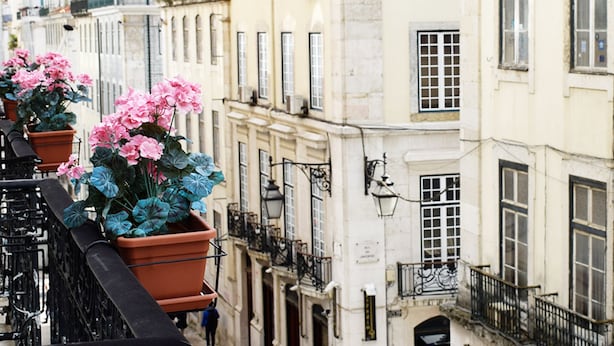 A row of buildings with balconies, some with potted plants.