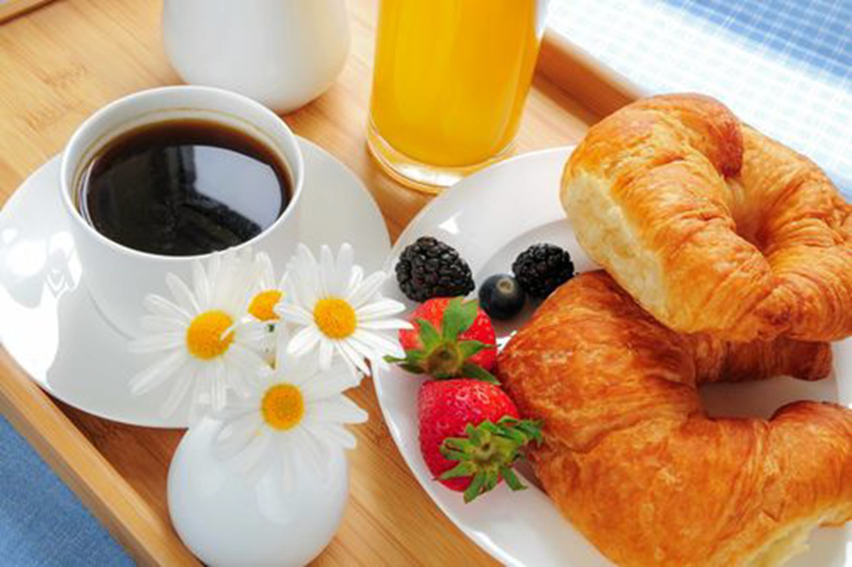 Foto - Plaza Hotel Winterthur