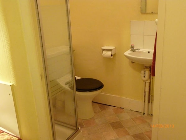 Une petite salle de bain comprenant des toilettes, un lavabo et une douche à parois de verre.