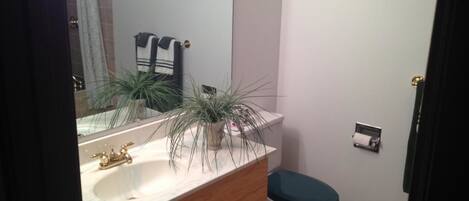 Un baño con tocador de madera, lavamanos, inodoro y espejo.