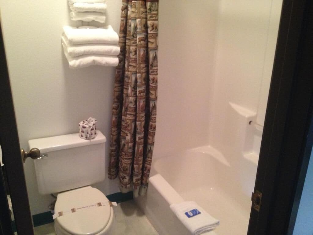 combined shower/bathtub, free toiletries, hair dryer, towels