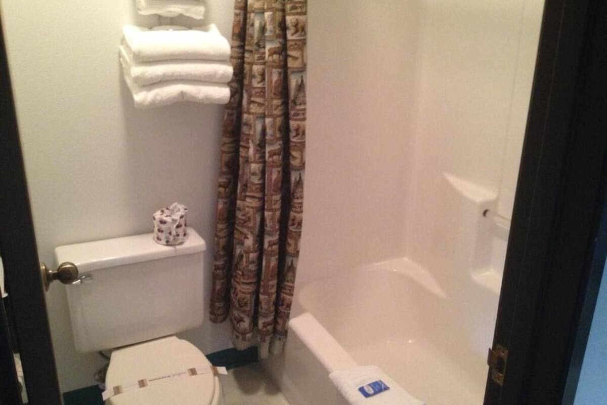 combined shower/bathtub, free toiletries, hair dryer, towels