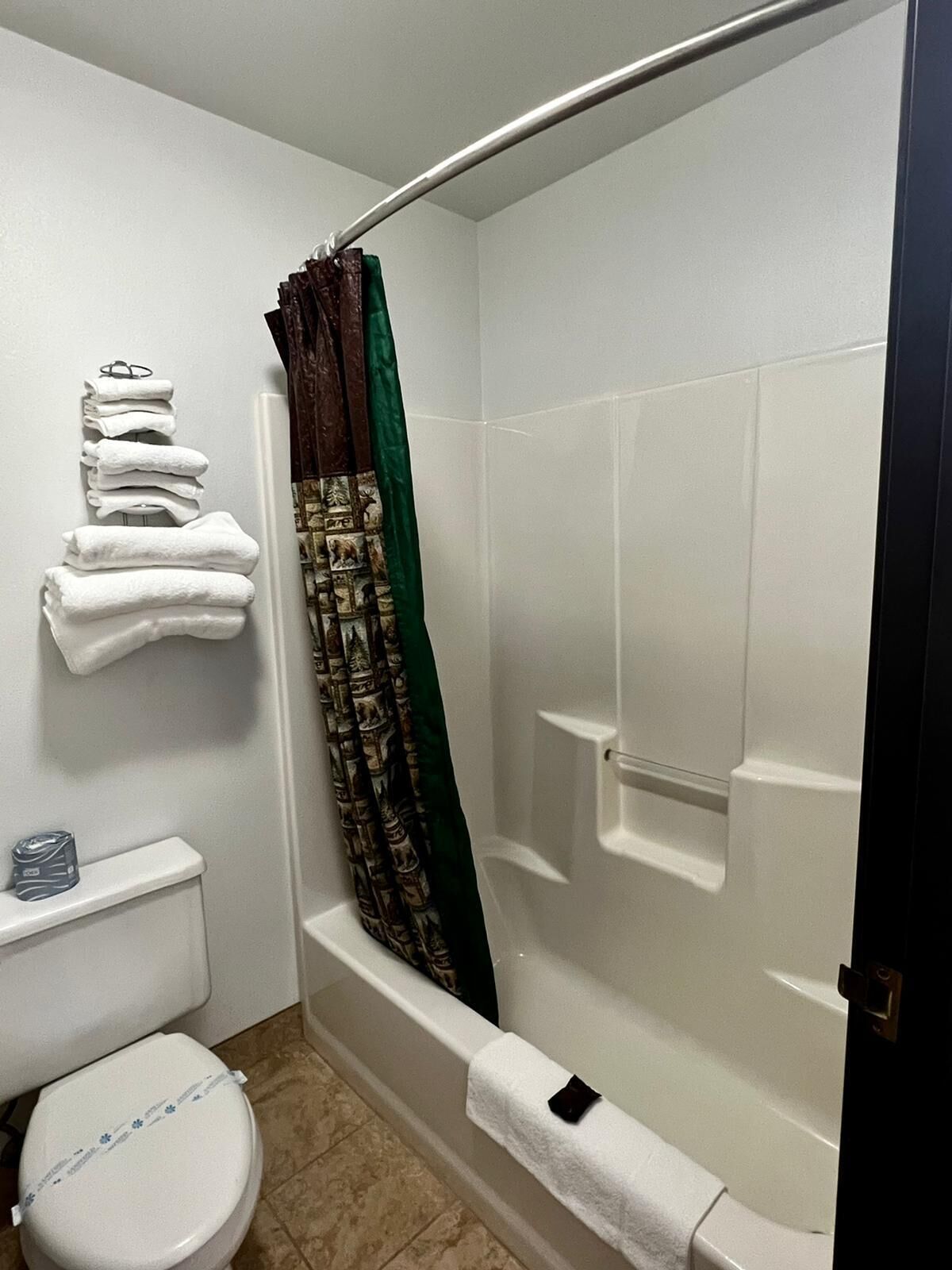 combined shower/bathtub, free toiletries, hair dryer, towels