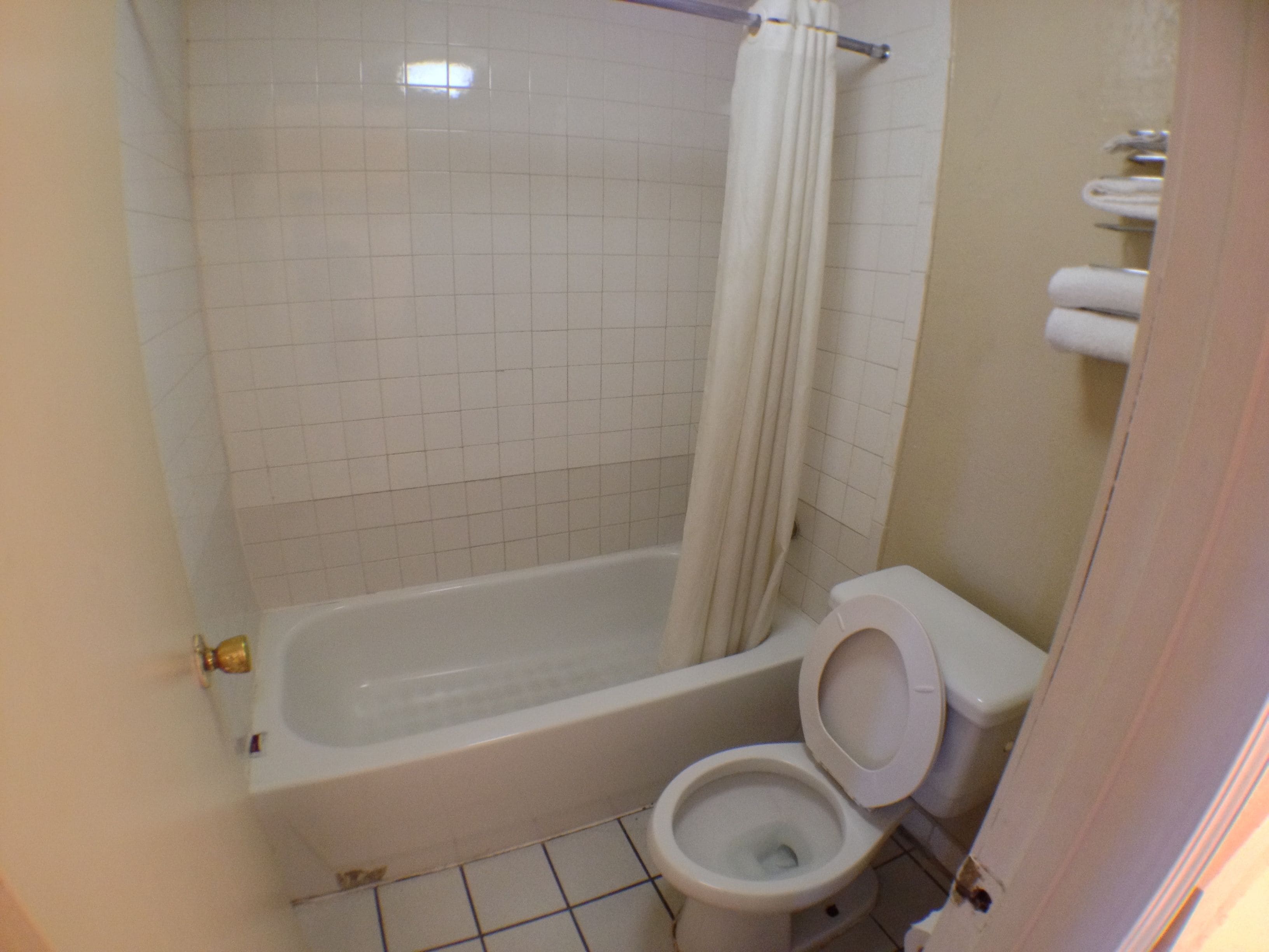 A bathroom with a bathtub, toilet, and a shower curtain.