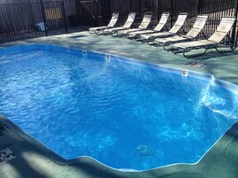A rectangular swimming pool with clear blue water, surrounded by a black metal fence. There are lounge chairs aligned along the fence.