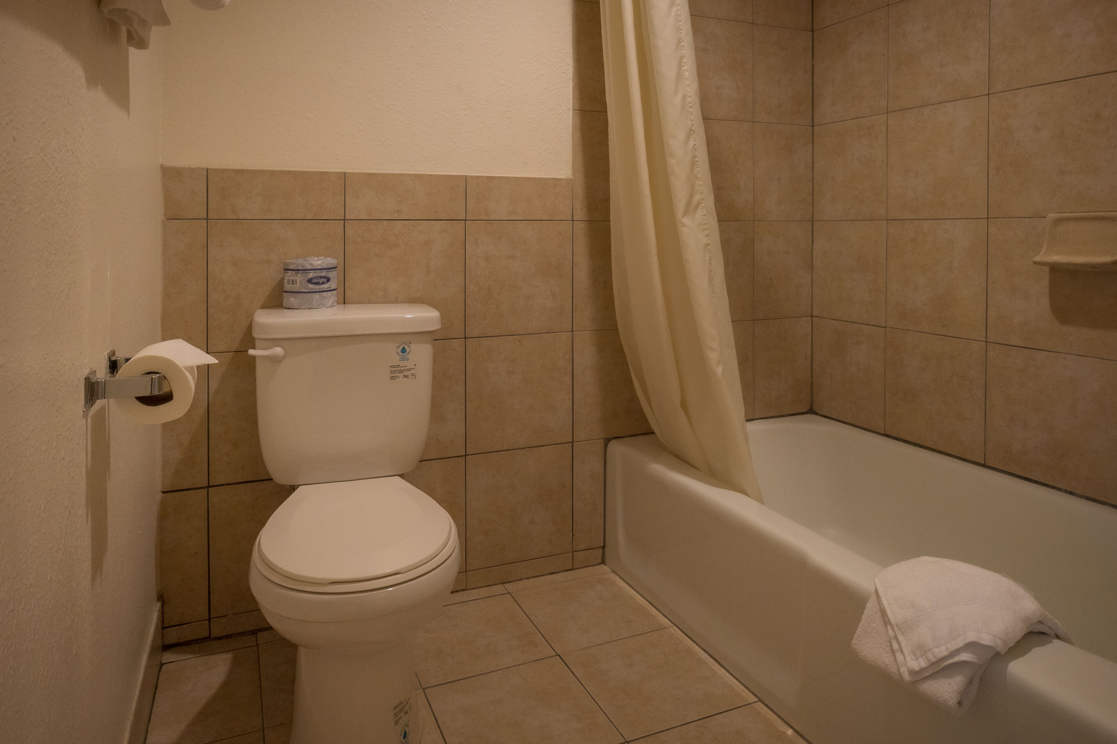 A bathroom with a toilet, a bathtub, and a shower curtain.