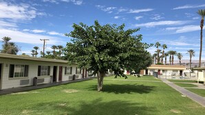 A row of single-story mobile homes with a central grassy area and a tree. - Western Sands Motel (Indio)