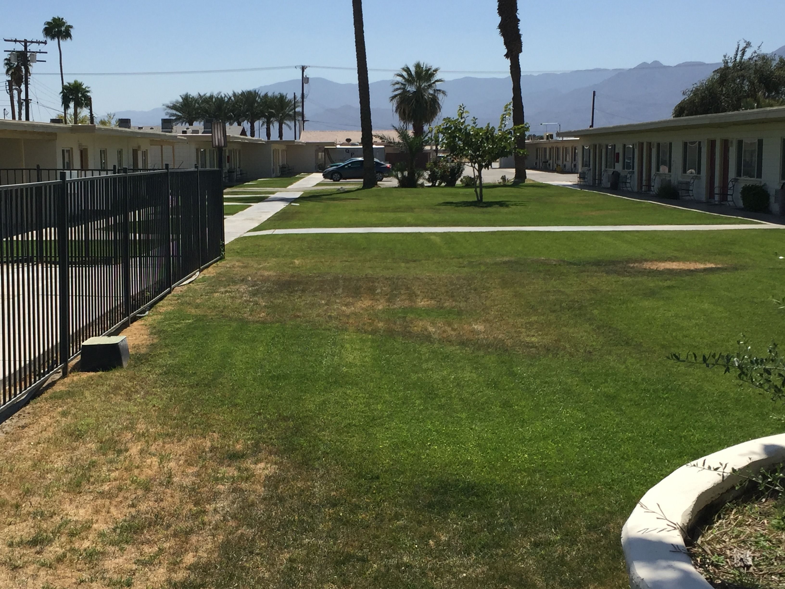 A fenced outdoor area with a grassy lawn, palm trees, and a view of mountains in the distance.