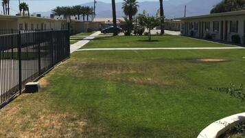 A fenced outdoor area with a grassy lawn, palm trees, and a view of mountains in the distance.