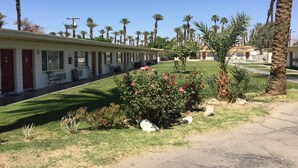 A row of motel rooms with individual doors, a well-maintained lawn, and palm trees. - Western Sands Motel (Indio)