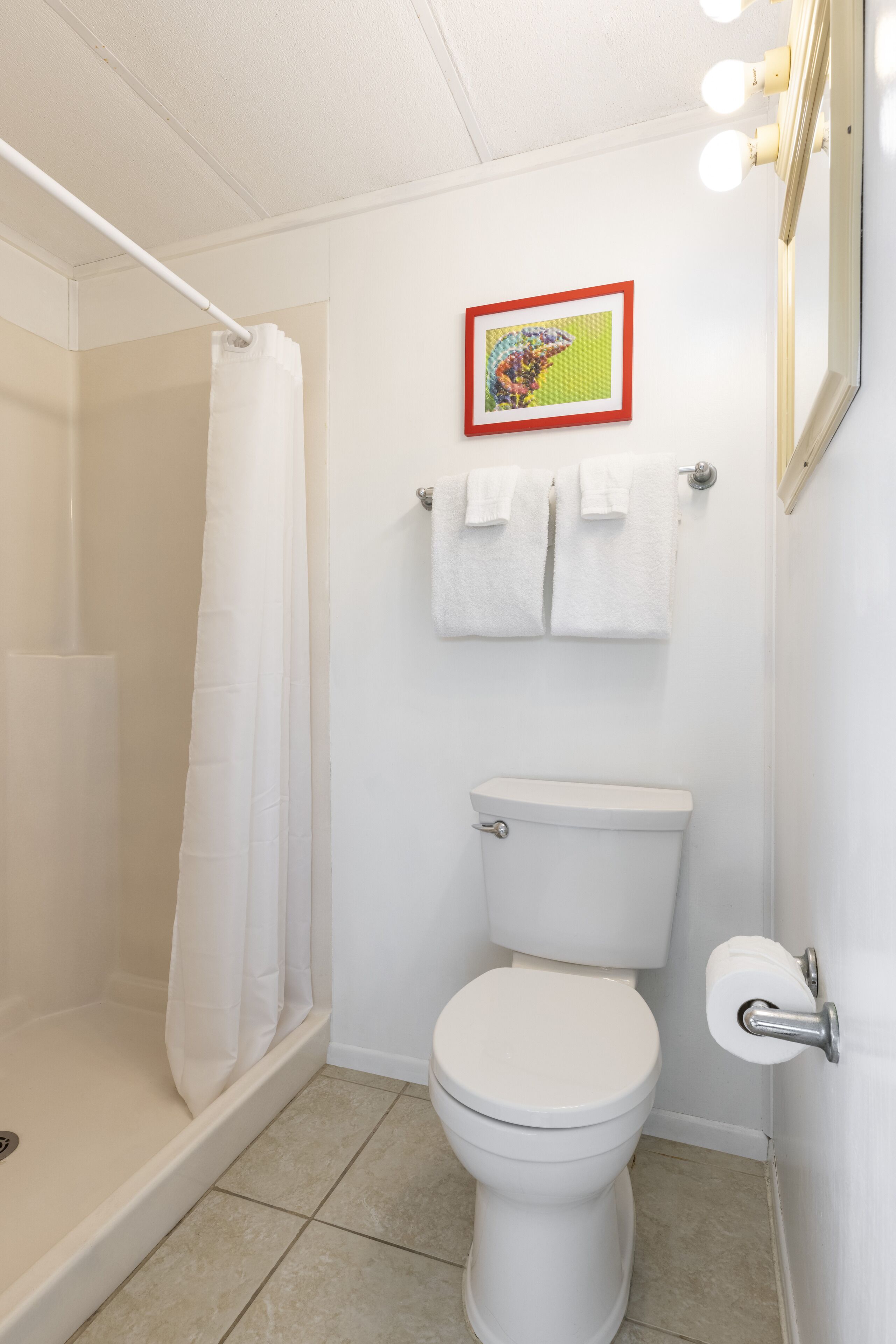 A bathroom with a shower, toilet, and a framed picture on the wall.