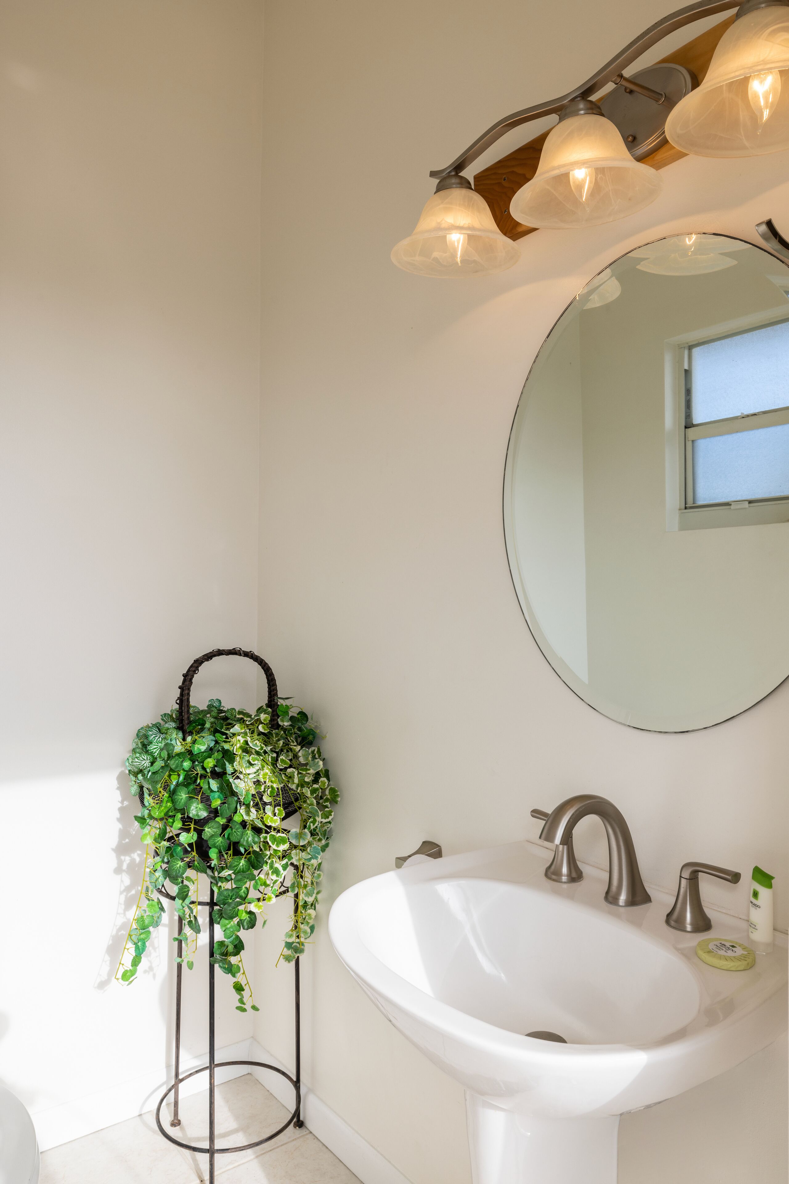 A bathroom with a white sink, a round mirror, and a plant on a stand.