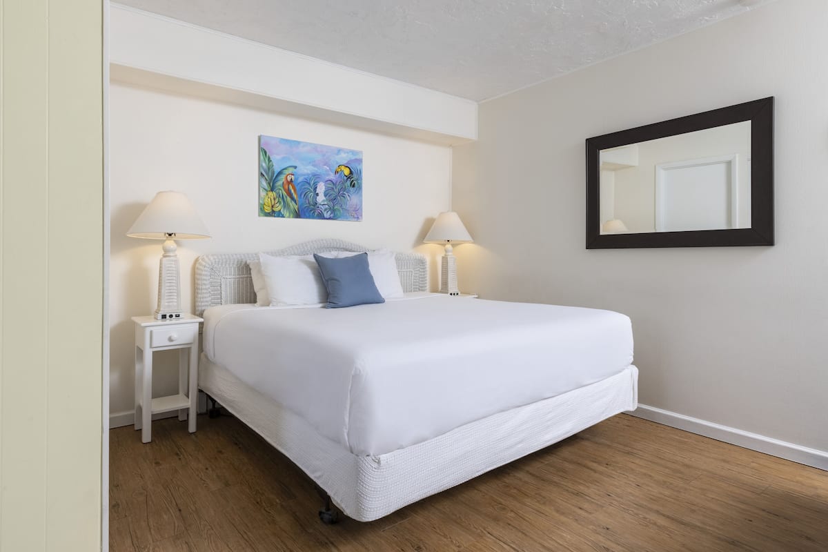 Deluxe King | 2 bedrooms, iron/ironing board, free WiFi, bed sheets