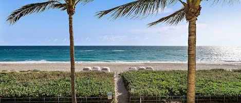 On the beach, white sand