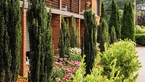 A modern building with a brick facade, a balcony, and a well-maintained garden with various plants and flowers. - The Beaucatcher – A Boutique Motel (Asheville)