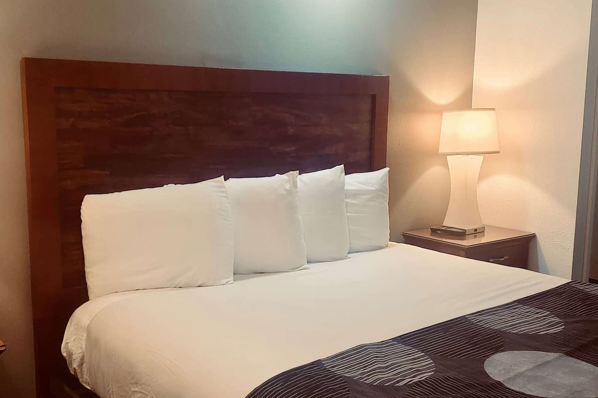 A hotel room with a large bed, a wooden headboard, a bedside table with a lamp, and a patterned throw blanket.