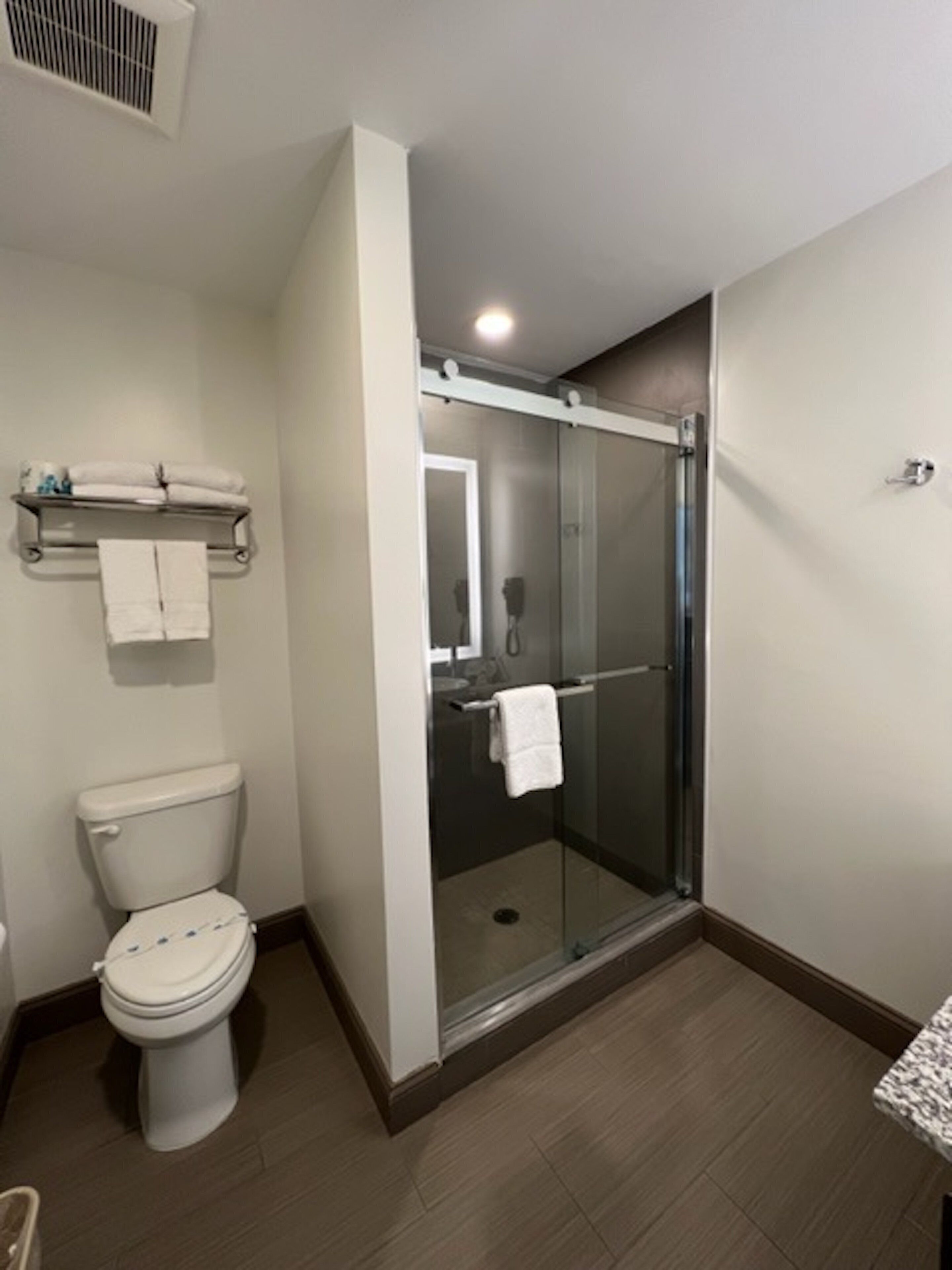 free toiletries, hair dryer, towels