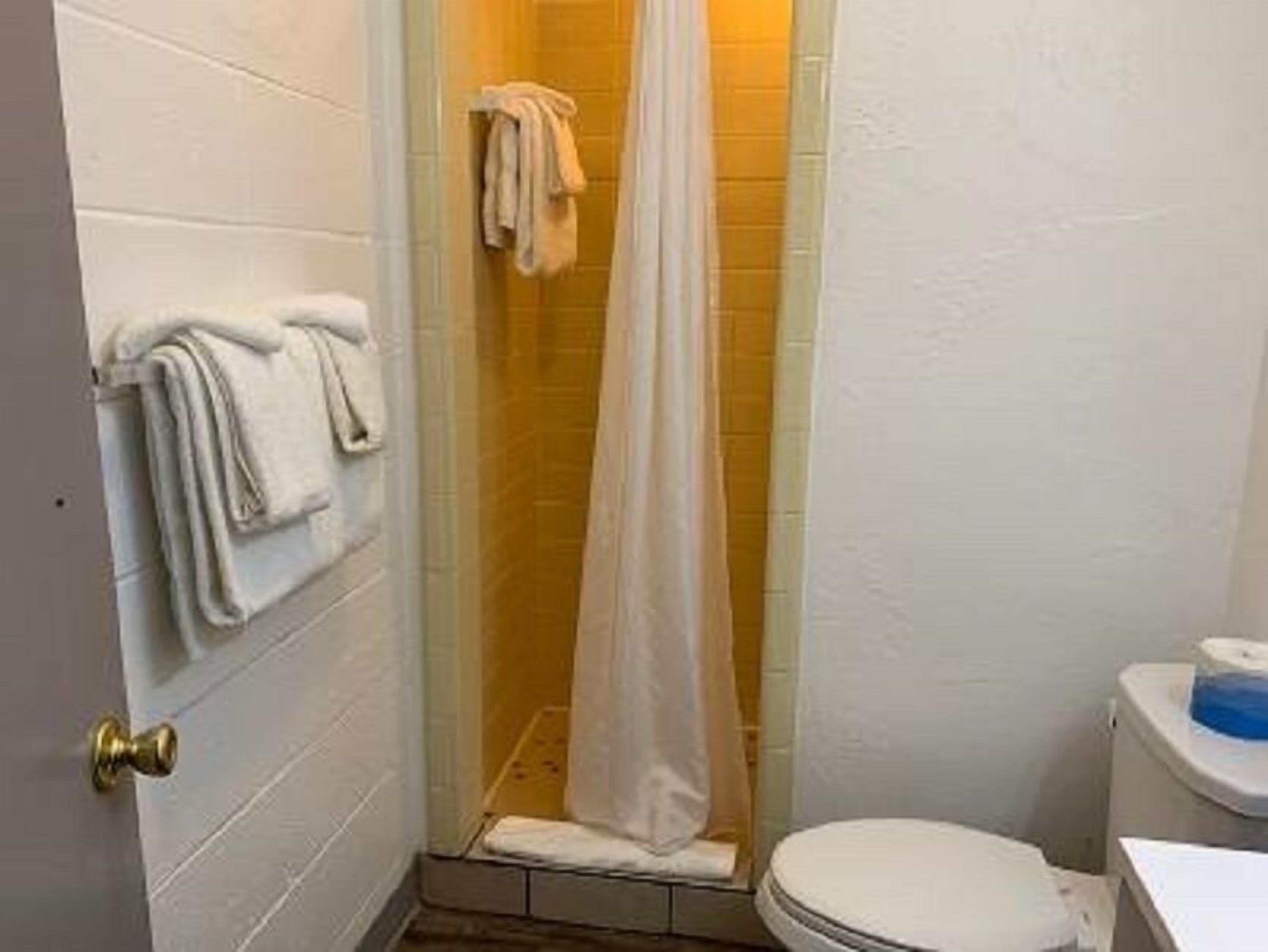 A small bathroom with a toilet, a shower curtain, and a towel rack.