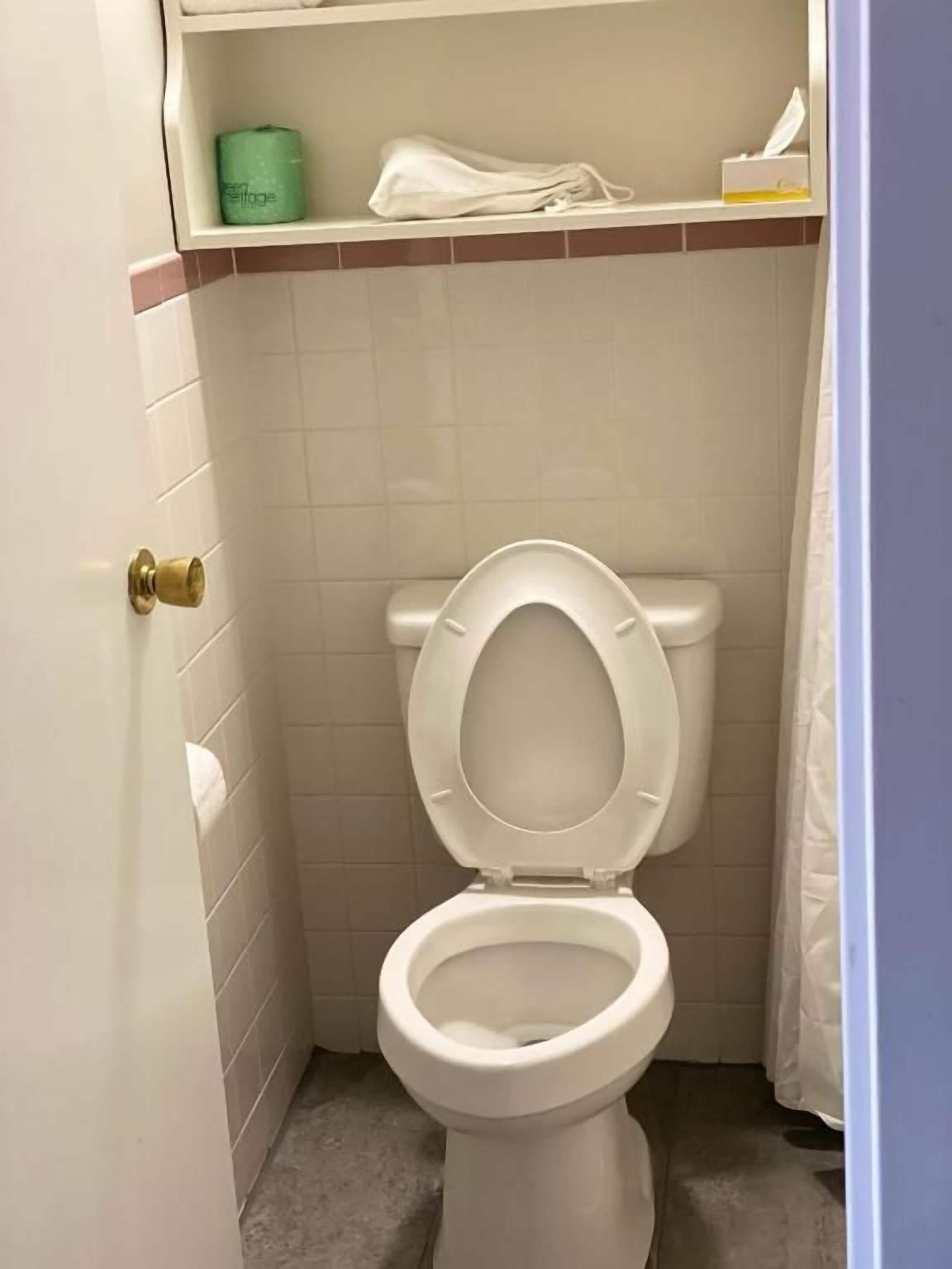 A bathroom with a toilet, a shelf with toiletries, and a towel rack.