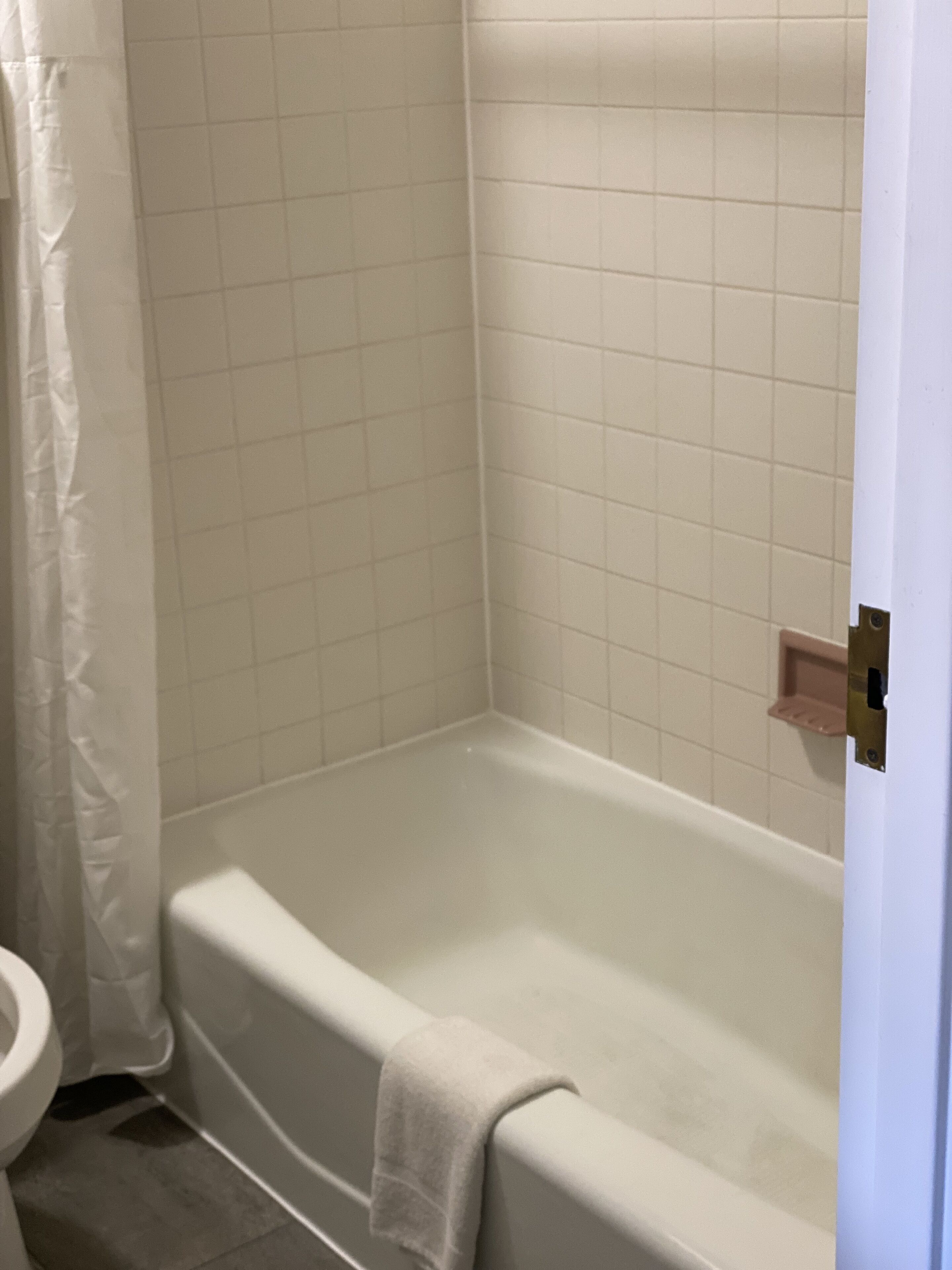 A bathroom with a bathtub, a toilet, and a shower curtain.