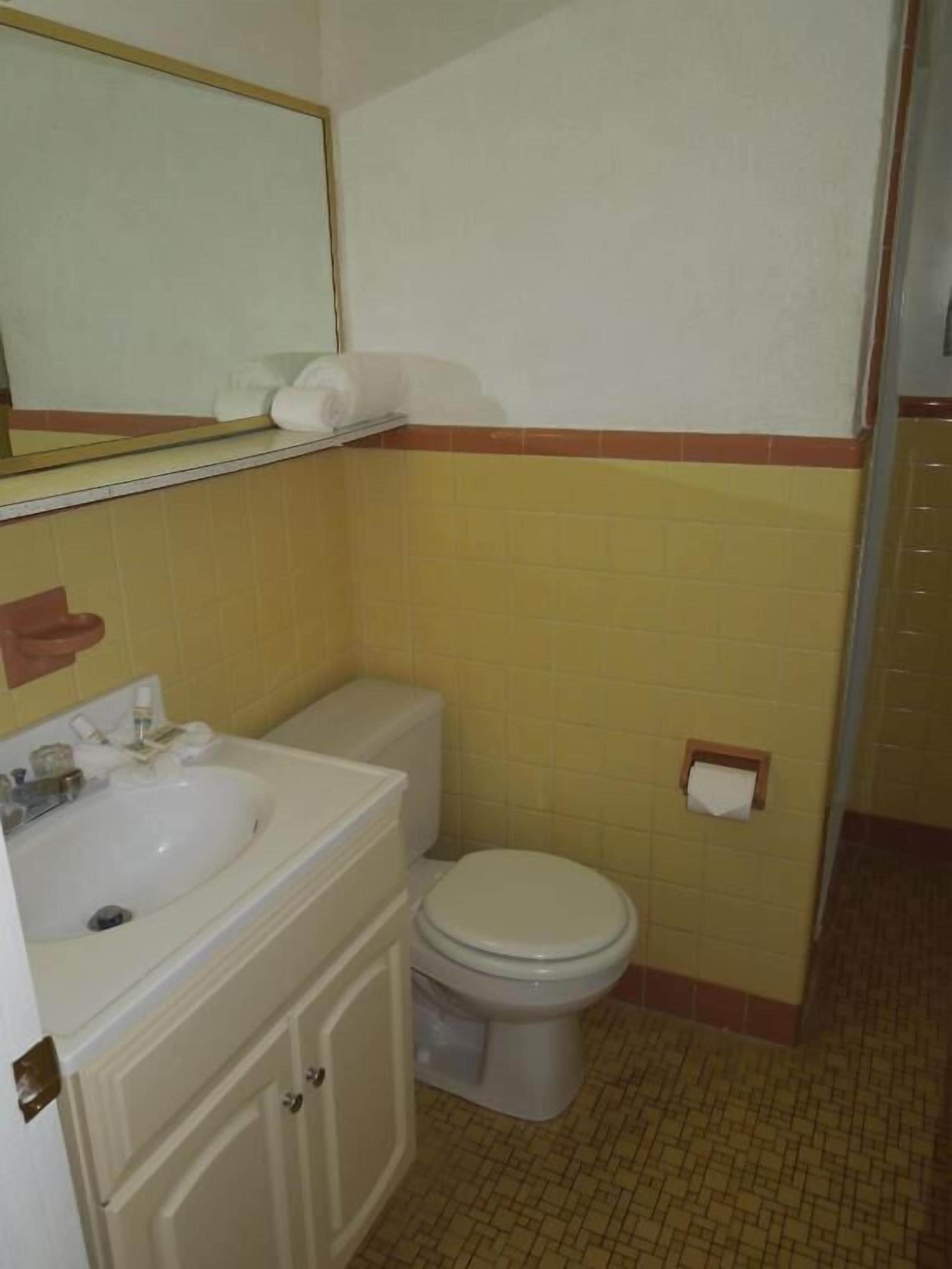A bathroom with a sink, toilet, and mirror.