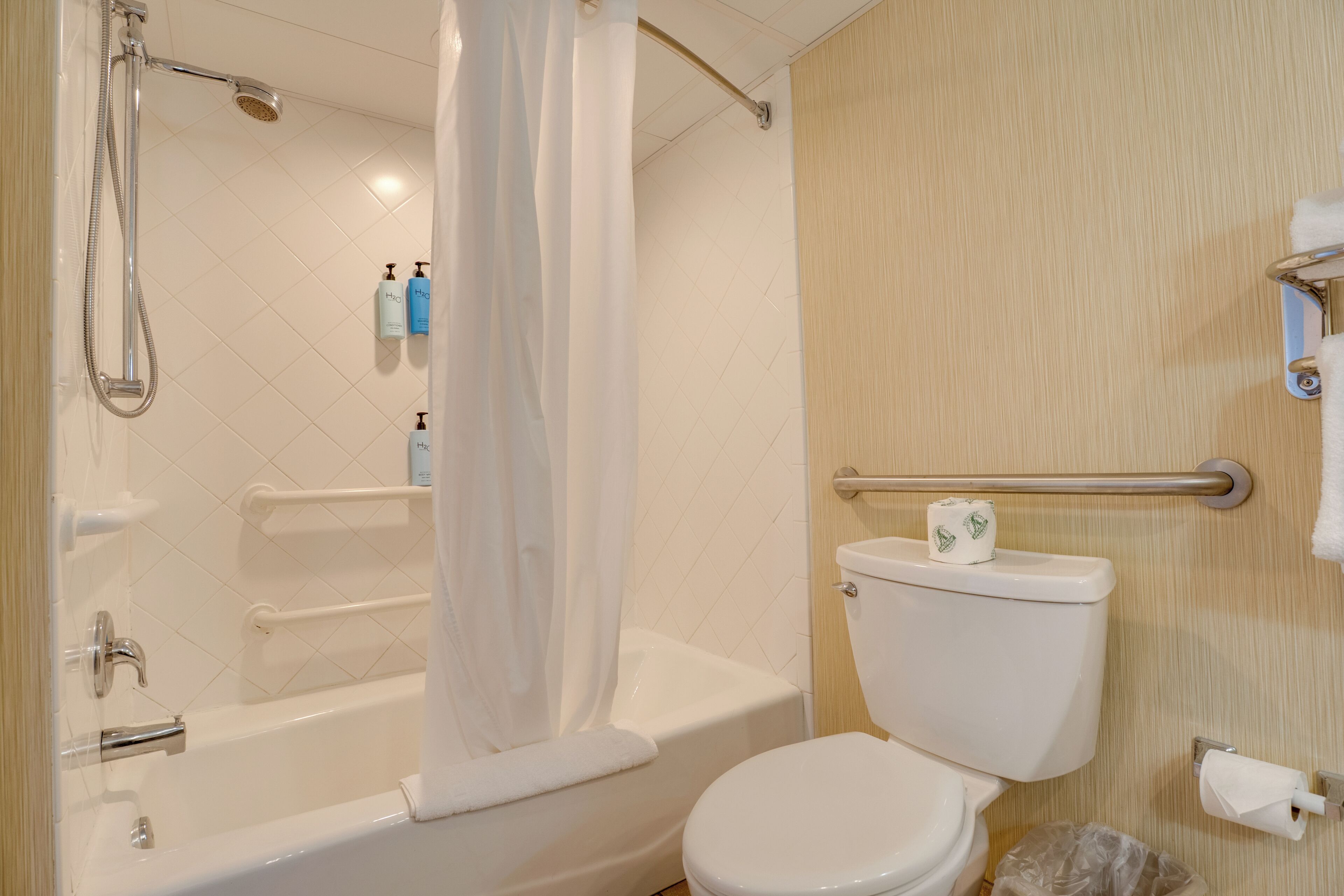 Une salle de bain avec une baignoire, des toilettes et une douche.