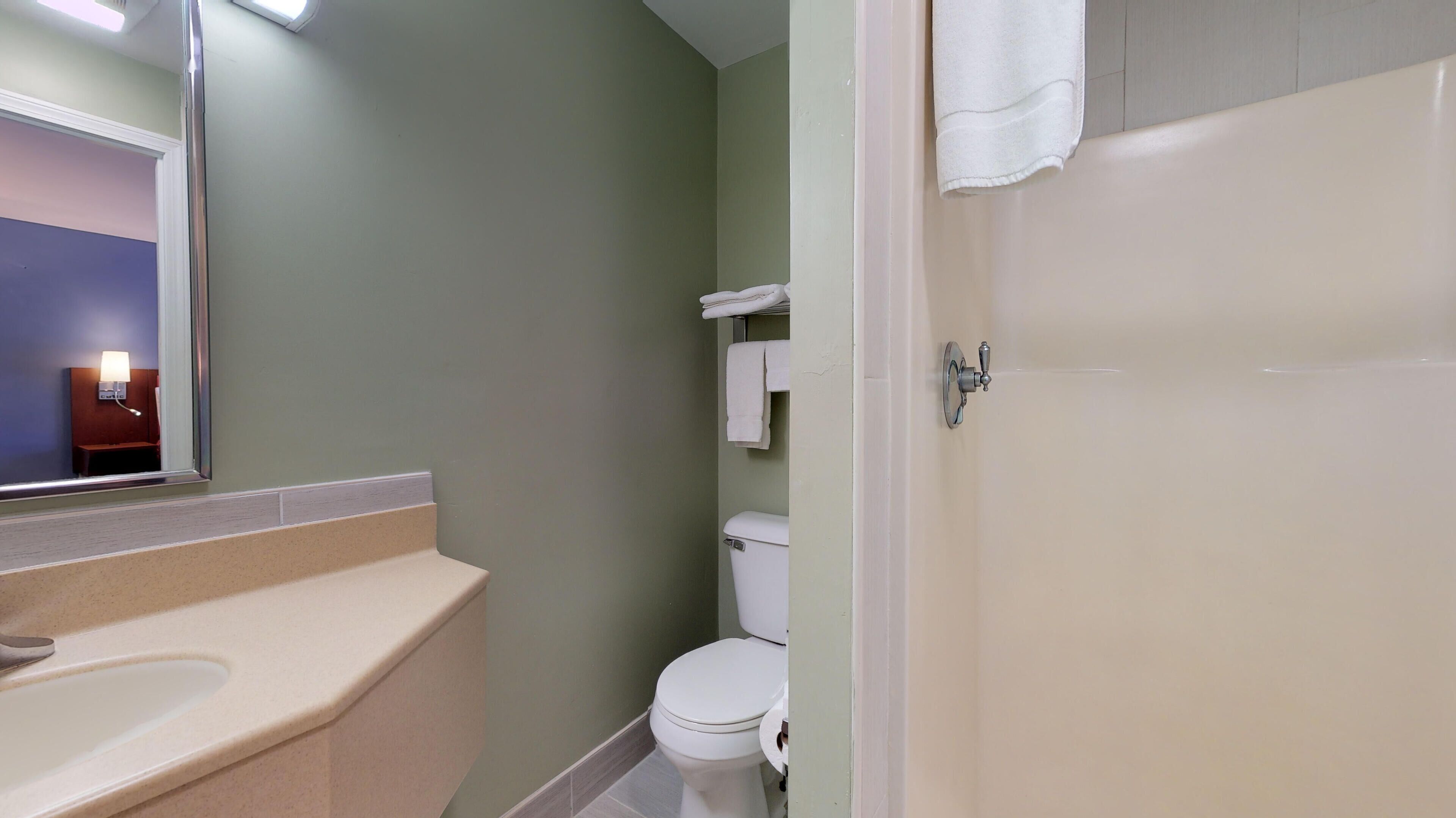 A bathroom with a toilet, a sink, and a mirror.