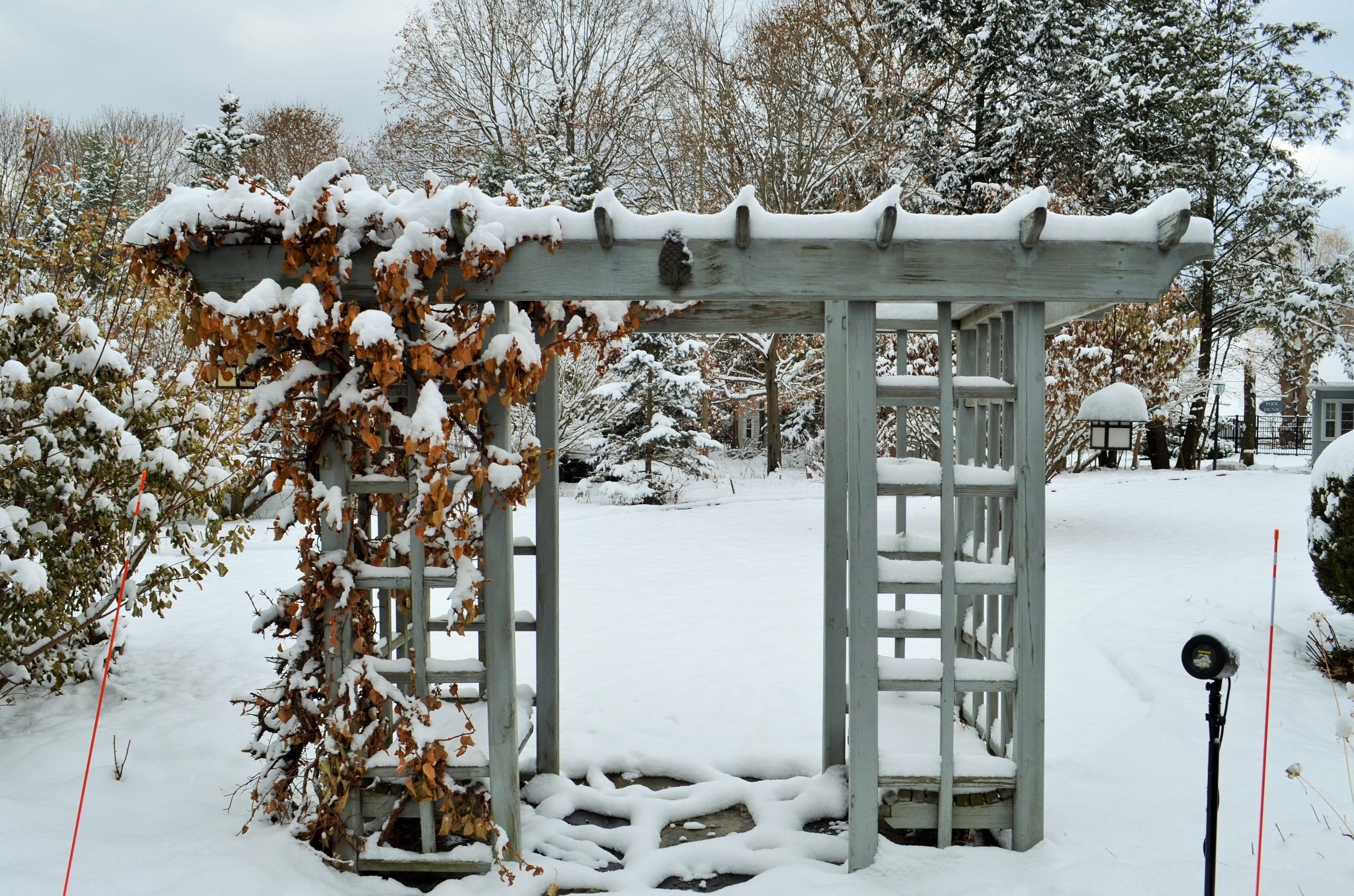 A wooden pergola covered in snow, surrounded by leafless trees and a snow-covered ground.