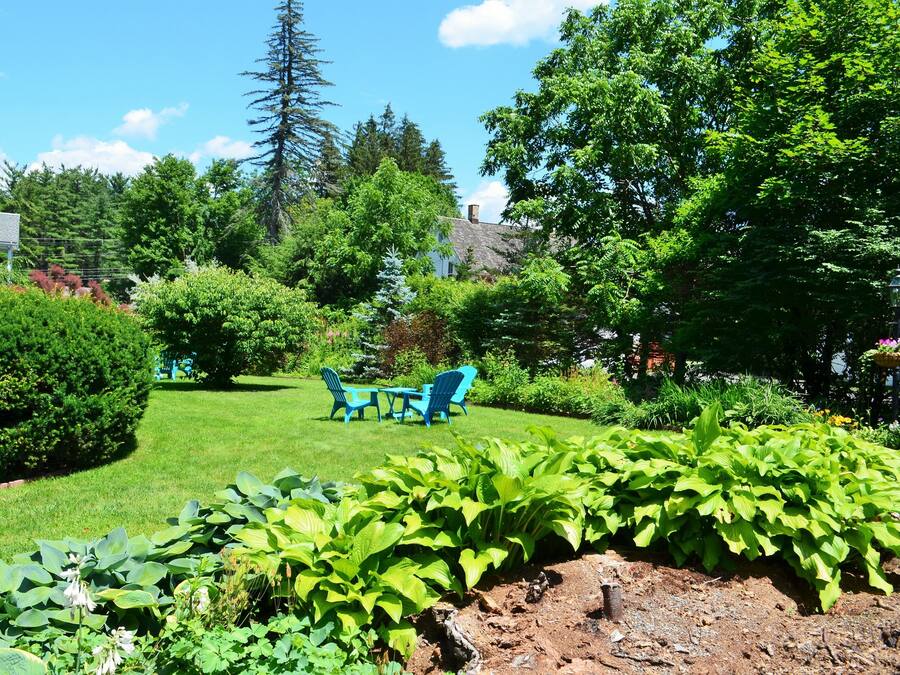 A well-maintained garden with a lawn, a table and chairs, and various plants.
