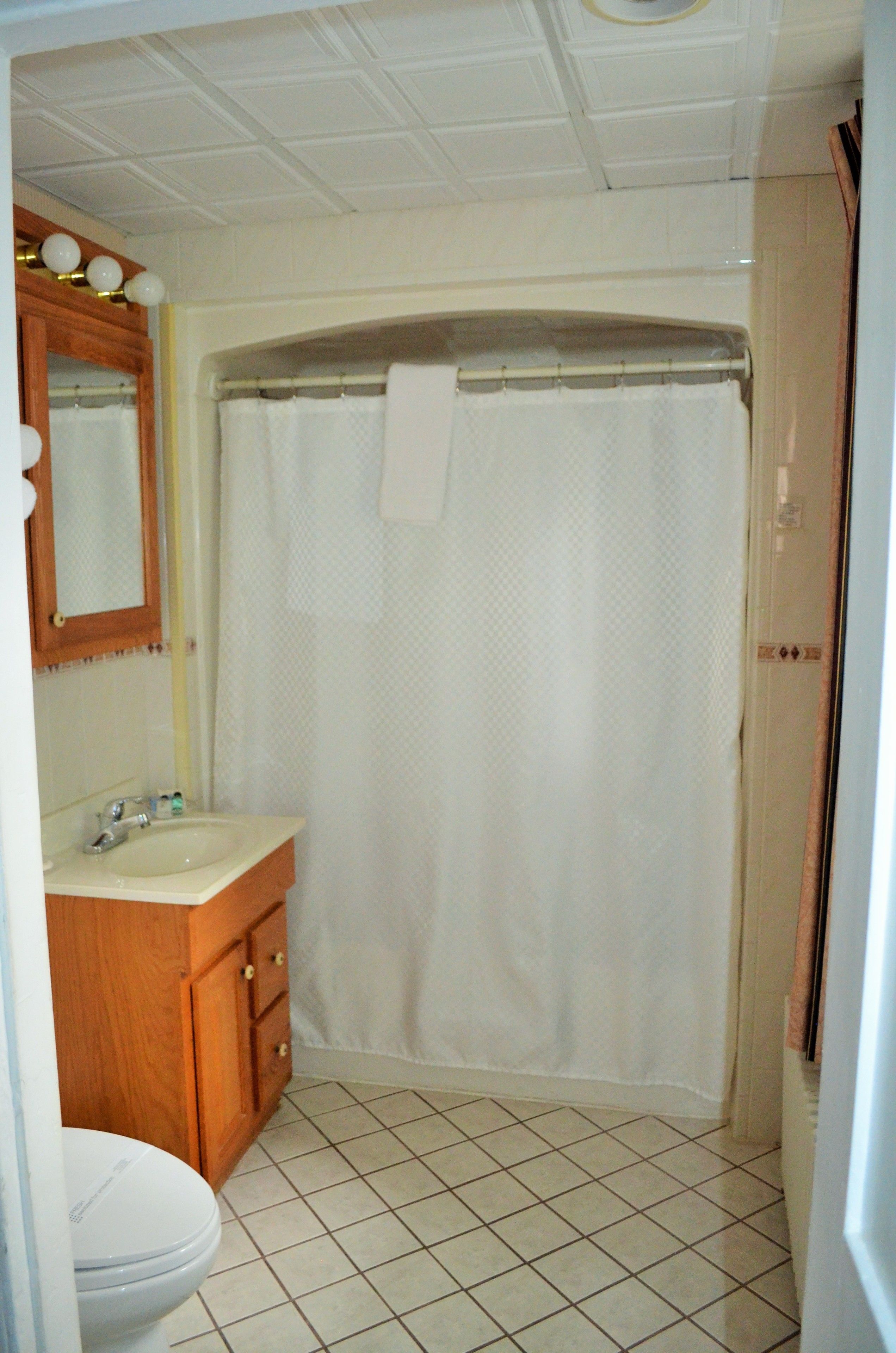 Baño con inodoro, lavamanos, espejo y cortina de ducha.