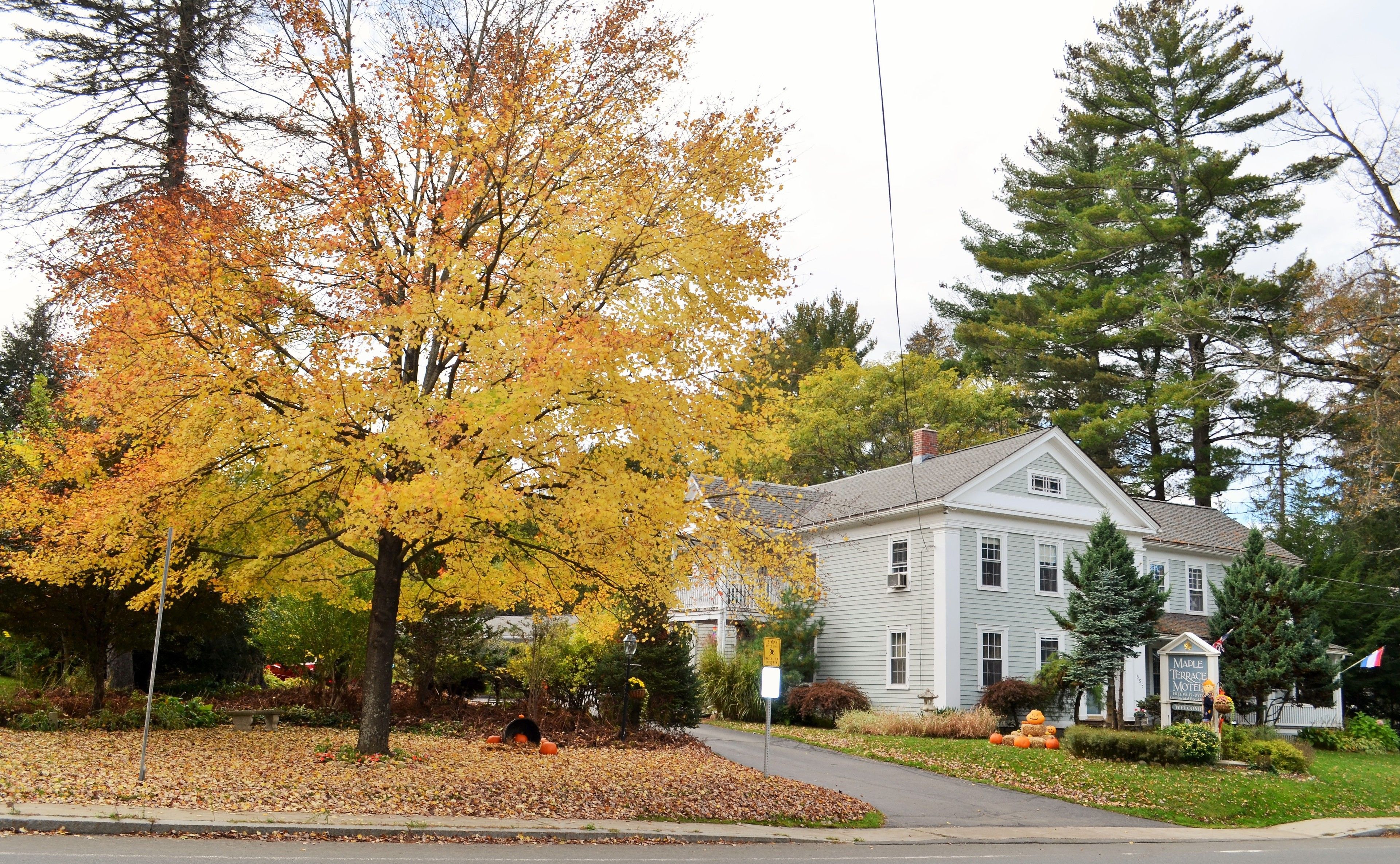 A two-story house with a front yard, a mailbox, and a sign for the Madle Terrace Motel.