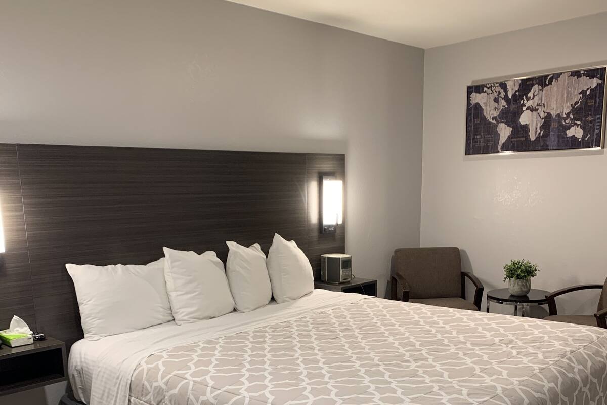 A hotel room with a large bed, a dark headboard, a bedside table with a lamp, a chair, and a small table with a plant.