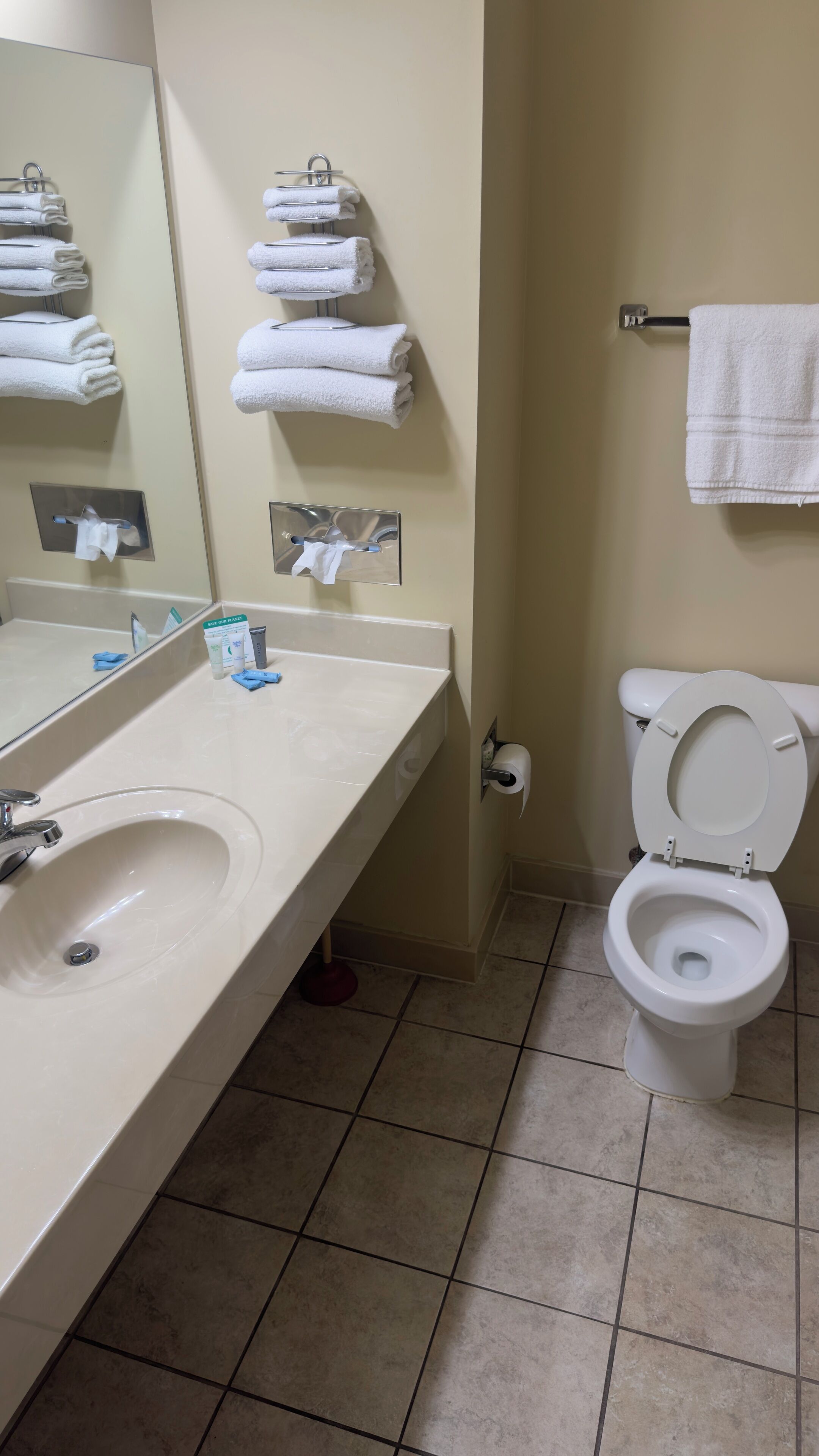 combined shower/bathtub, free toiletries, hair dryer, towels