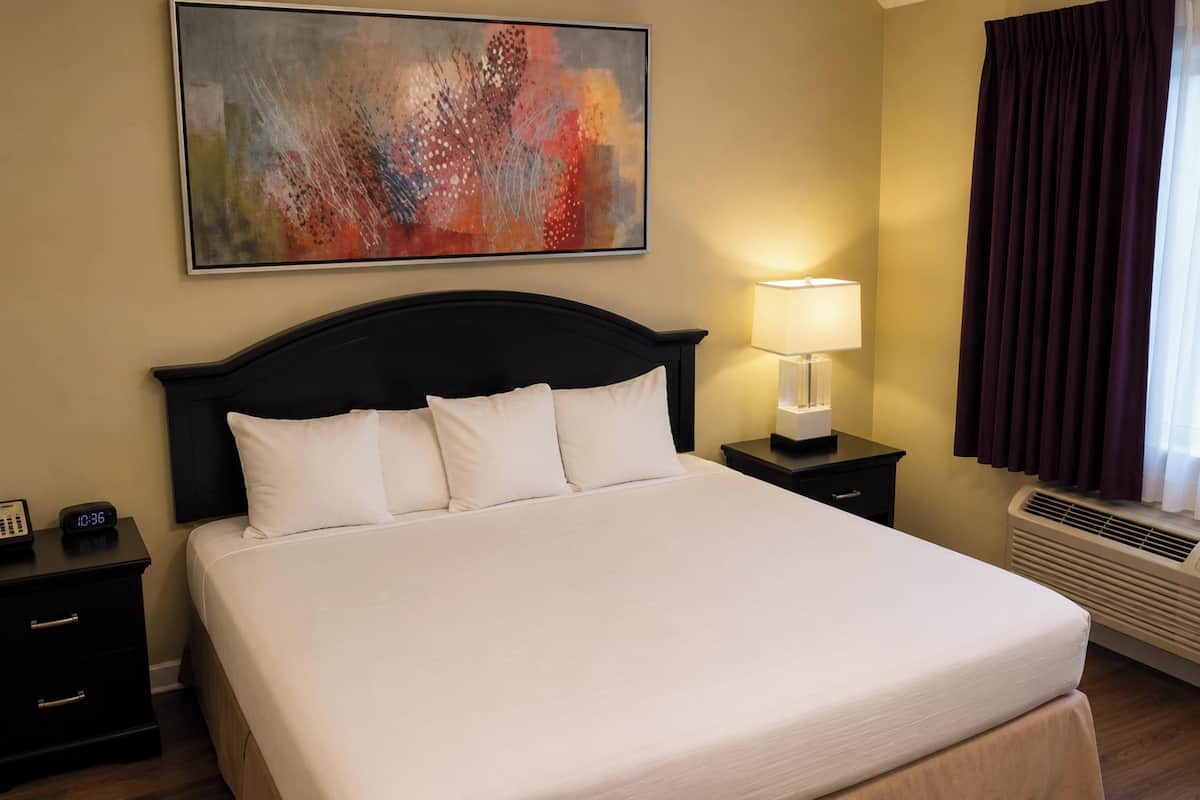 Apartment, 1 King Bed, Kitchen | Iron/ironing board (on request), free WiFi, bed sheets