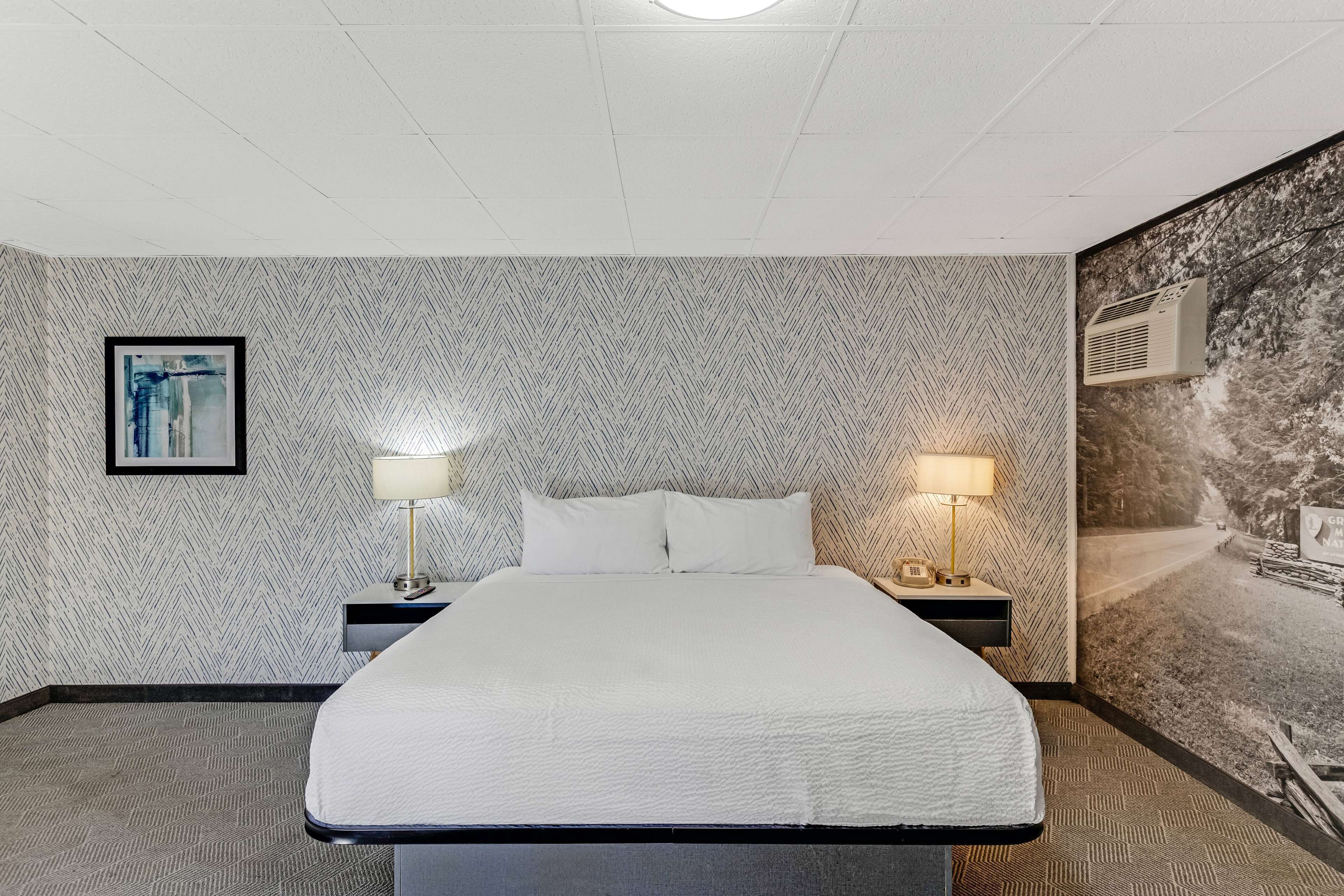 Een hotelkamer met een groot bed, twee nachtkastjes met lampen, een lijst met afbeelding aan de linker muur en een muurschildering aan de rechter muur.