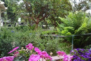 Chambre Standard, 1 grand lit, non-fumeur (Newport) | Jardin