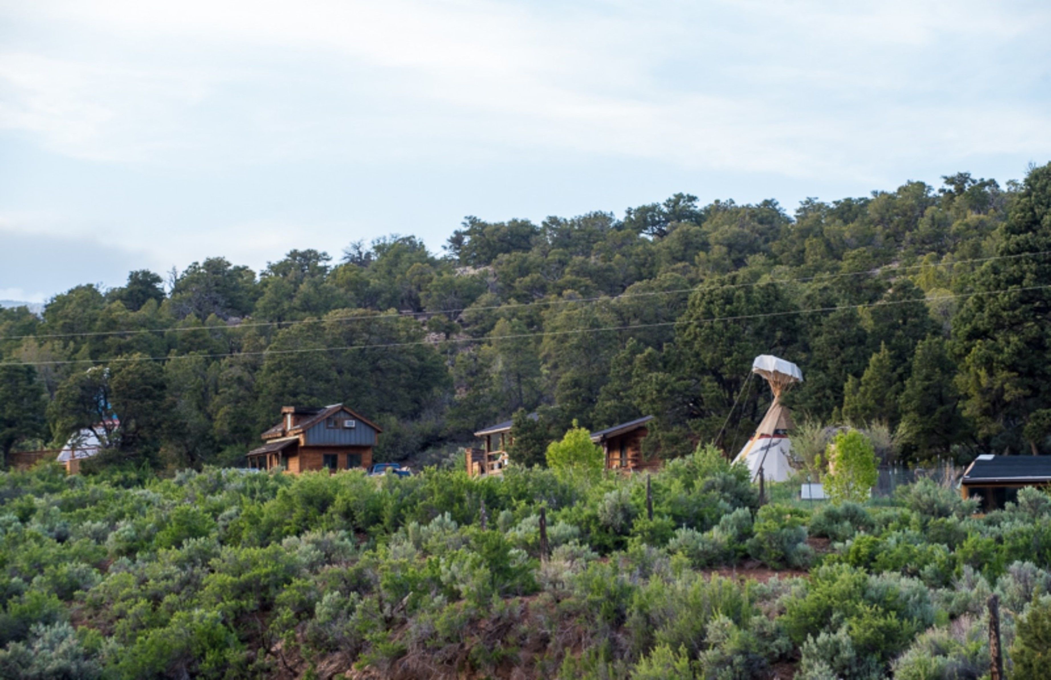 A rural landscape with several wooden cabins surrounded by dense vegetation and a forested hill in the background.