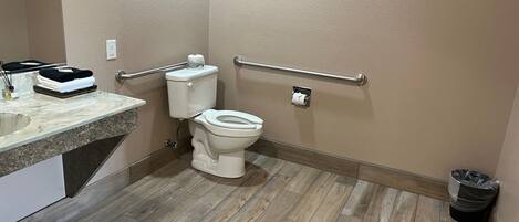 A bathroom with a toilet, a handrail, a trash can, and a marble sink.