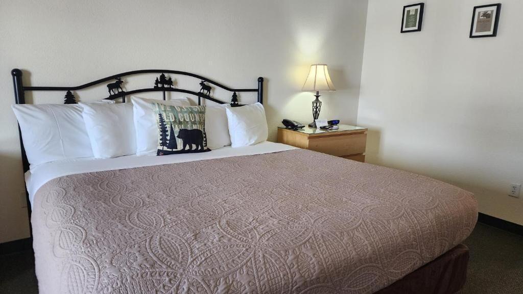 Een strijkplank/strijkijzer, gratis wifi, rolstoeltoegankelijk