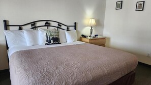 Een strijkplank/strijkijzer, gratis wifi, rolstoeltoegankelijk