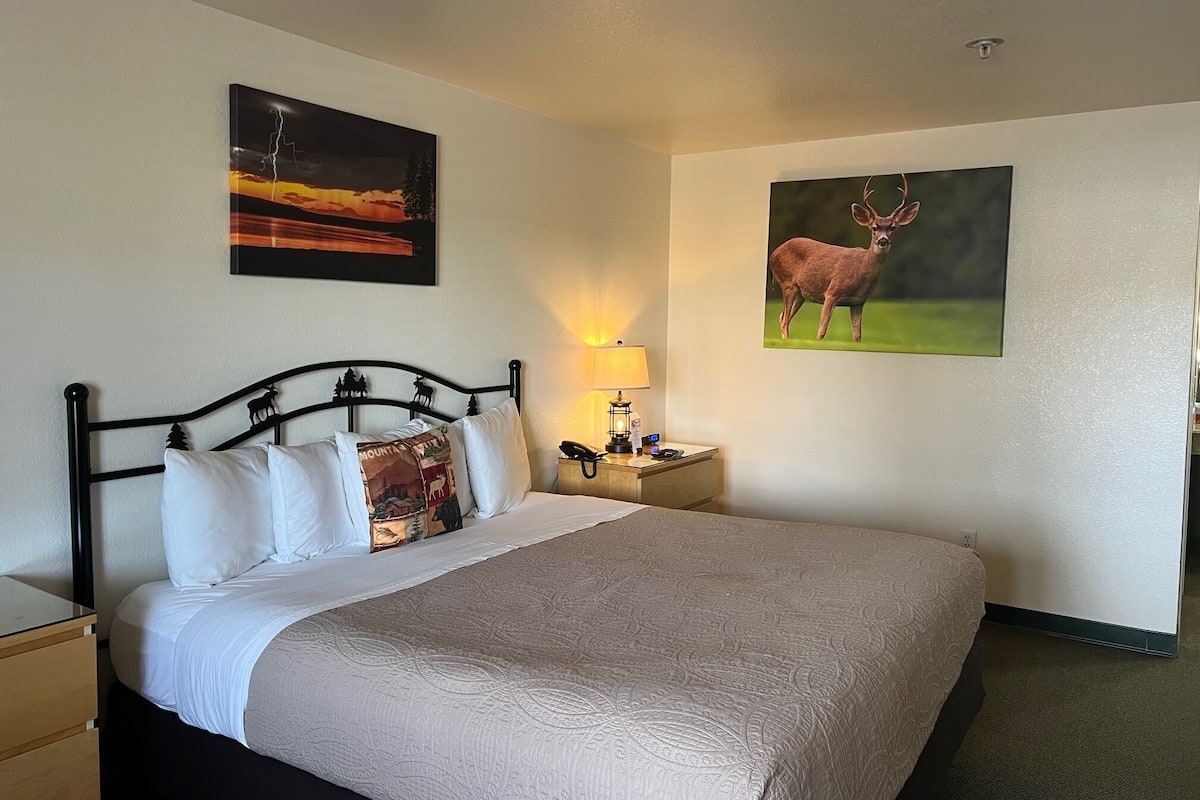 A neatly made bed with a patterned bedspread, a bedside table with a lamp, and two wall-mounted paintings depicting a mountain landscape and a deer.