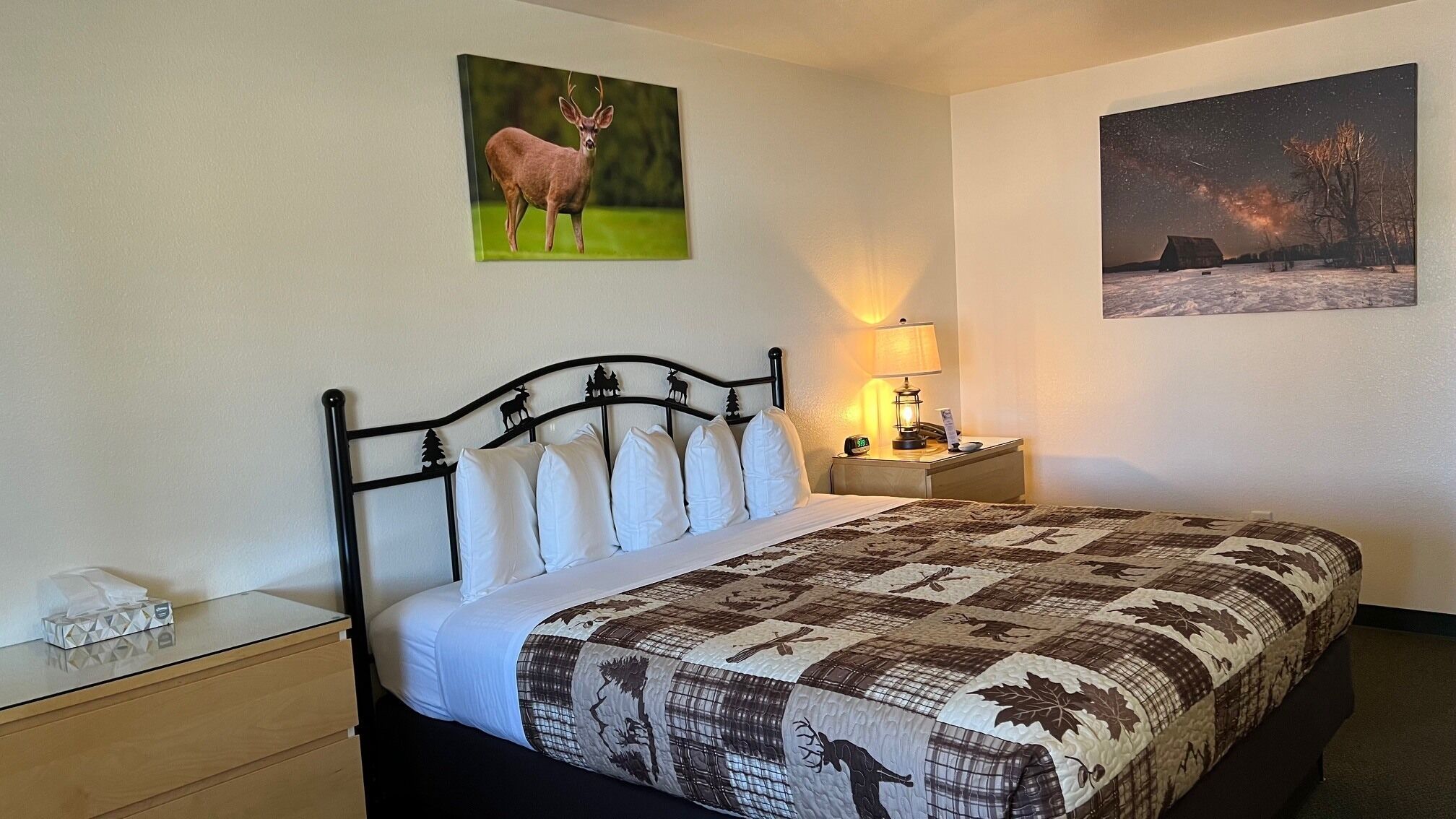 Habitación individual Deluxe, 1 cama King size, para no fumadores | Tabla de planchar con plancha y wifi gratis 