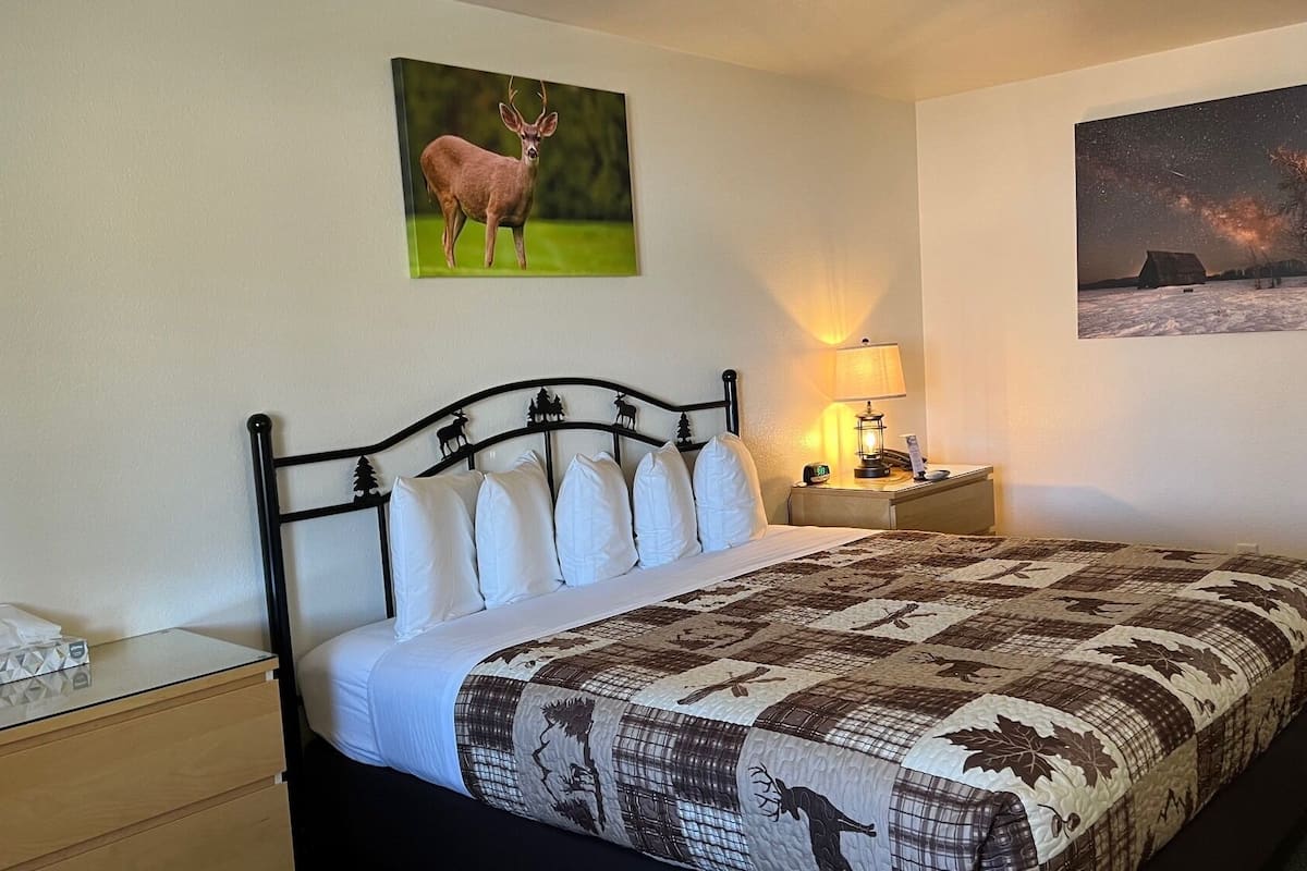 A neatly made bed with a quilt, a bedside table with a lamp, and two wall-mounted paintings.