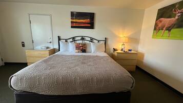 Classic Single Room, 1 King Bed, Non Smoking | Iron/ironing board, free WiFi, wheelchair access