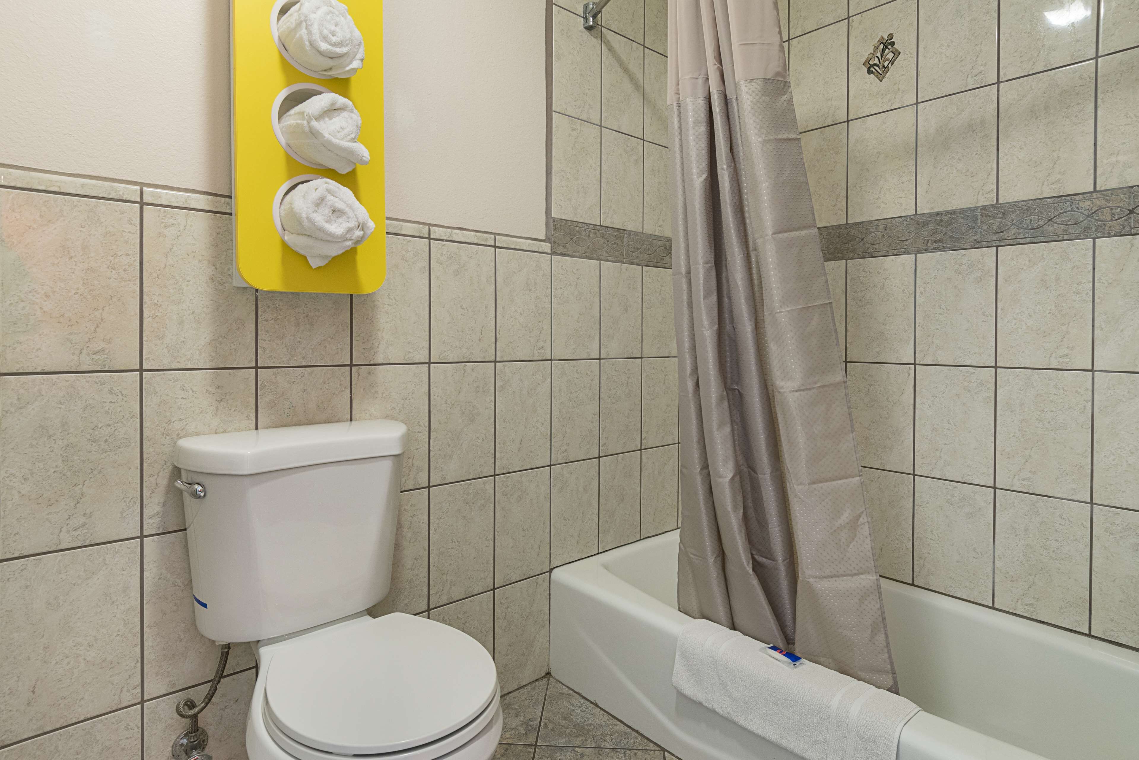 A bathroom with a toilet, a bathtub, and a shower curtain.