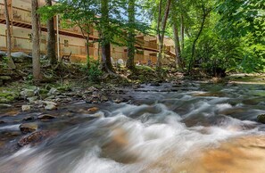 A river flowing through a wooded area with a building in the background. - Maggie Valley Creekside Lodge (Maggie Valley)