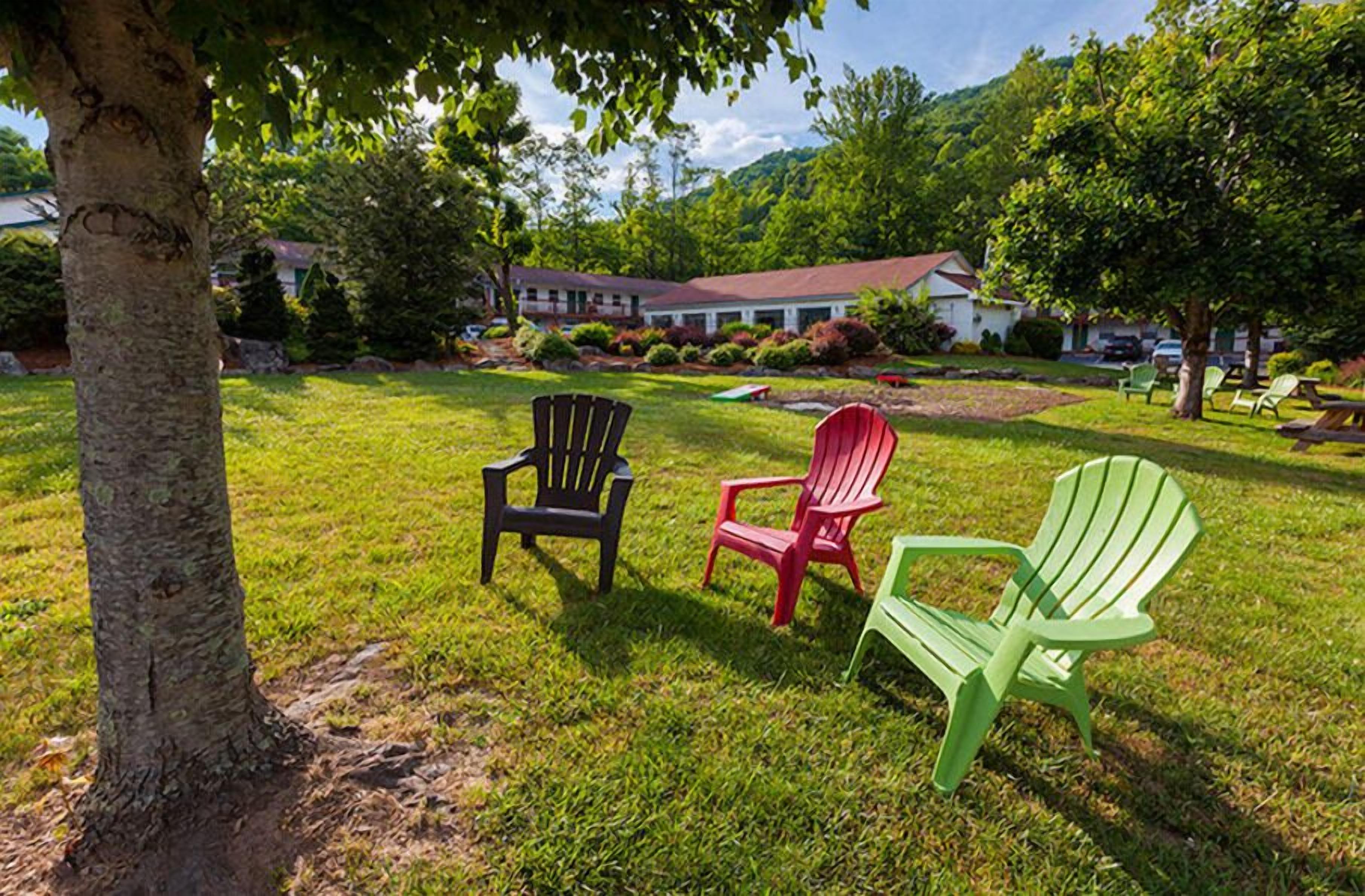 A grassy outdoor area with three Adirondack chairs in black, red, and green.